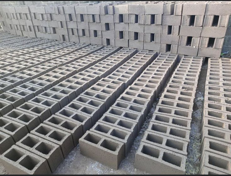 Briques creuses 10×20×50