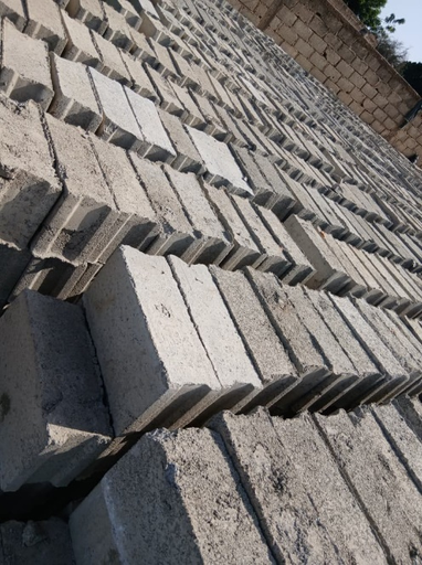 Briques pleins 15×20×40